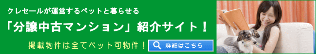 �����y�b�g���Ã}���V����